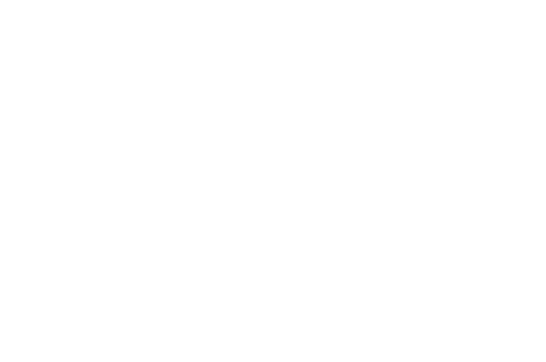 Young and Dumb logo
