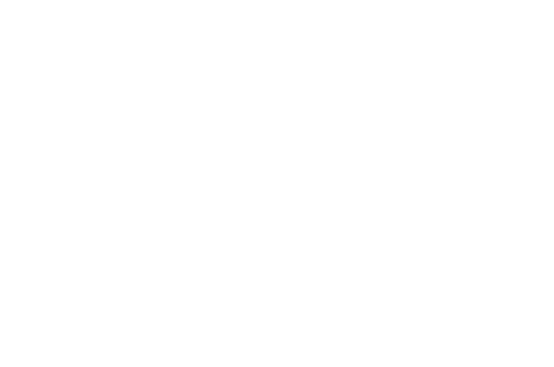 Love and Online logo