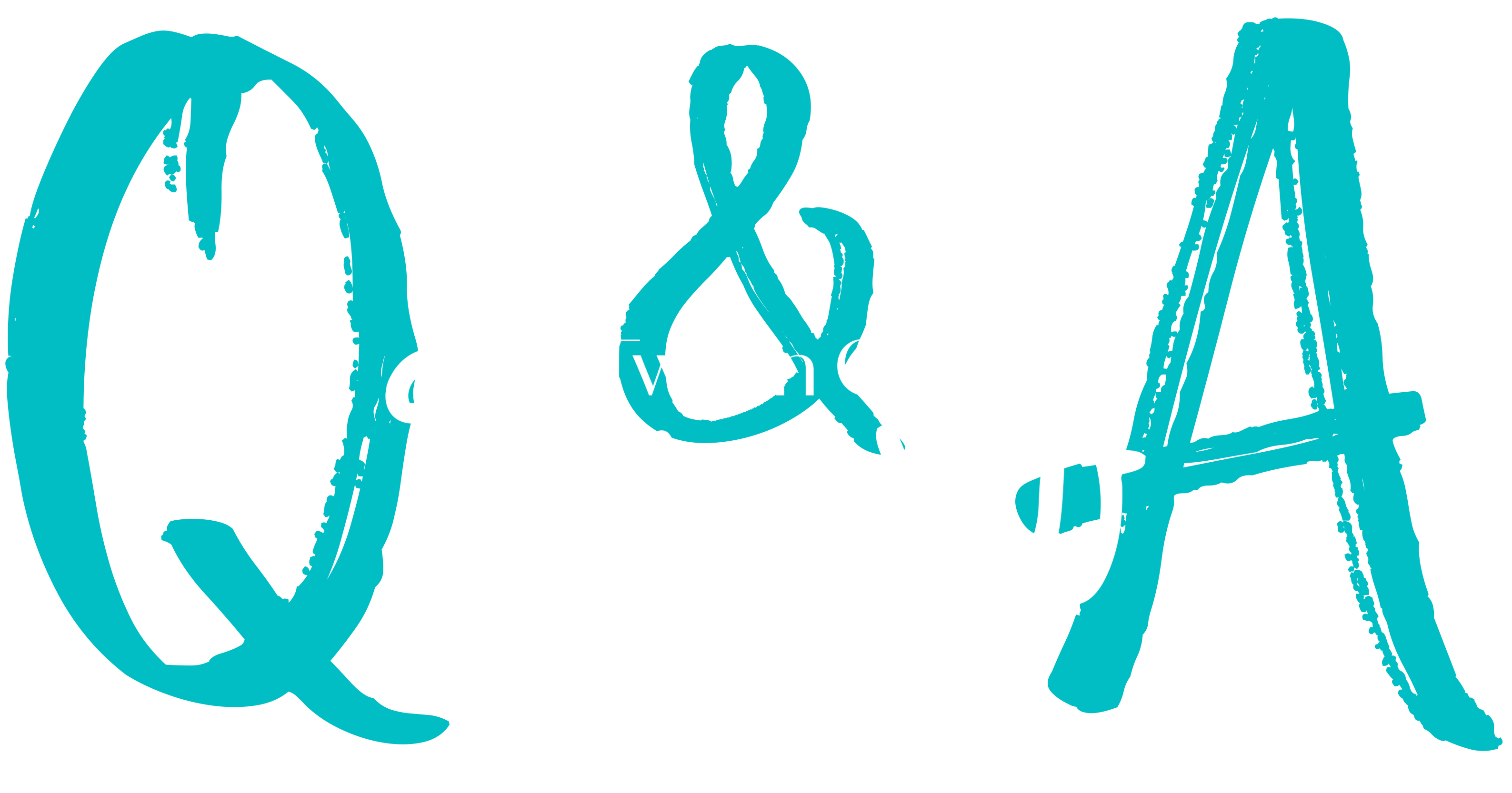 Two In One Q/A logo