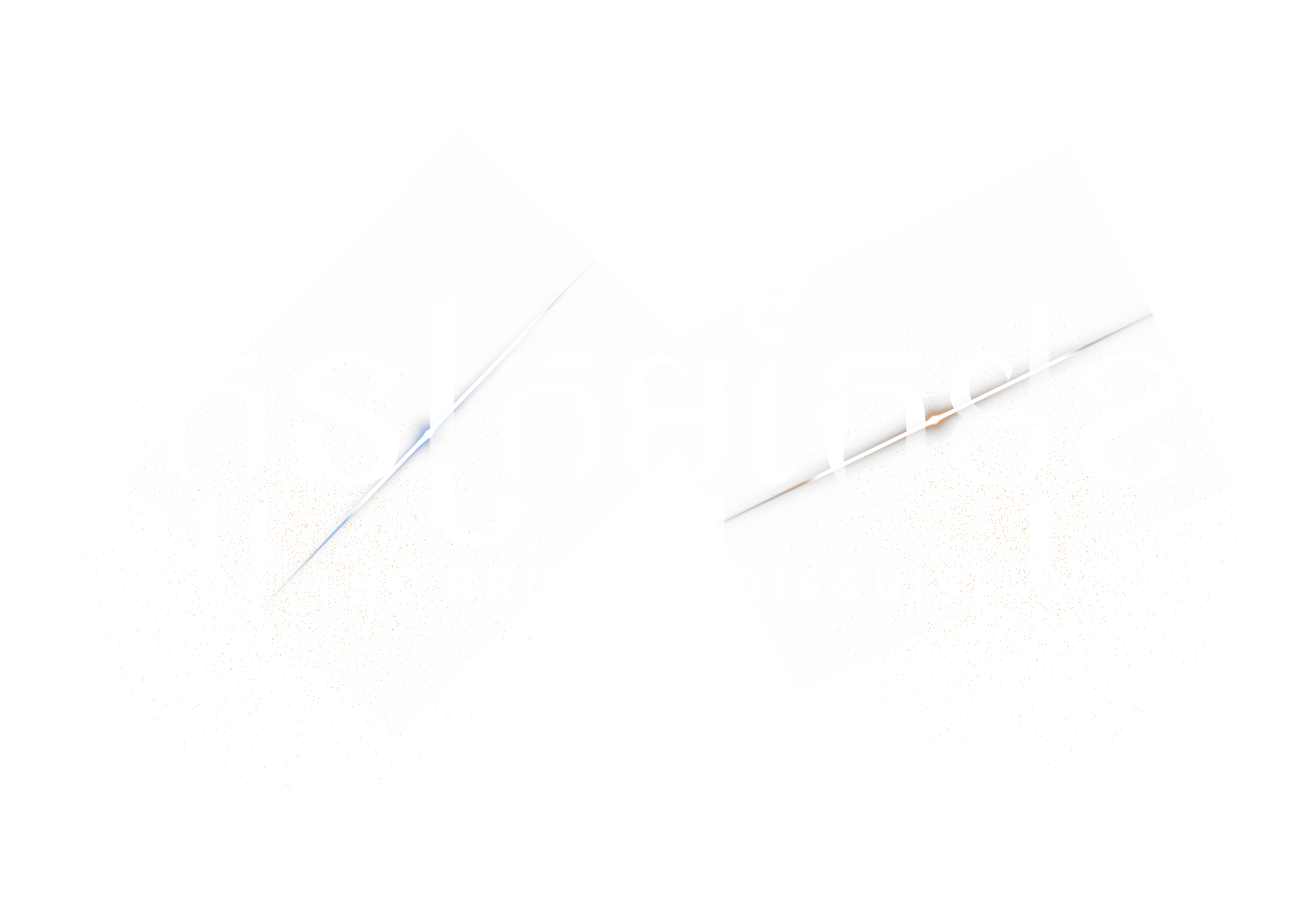 The Bride In Disguise logo