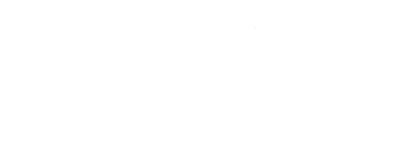 Extraordinary Lives logo