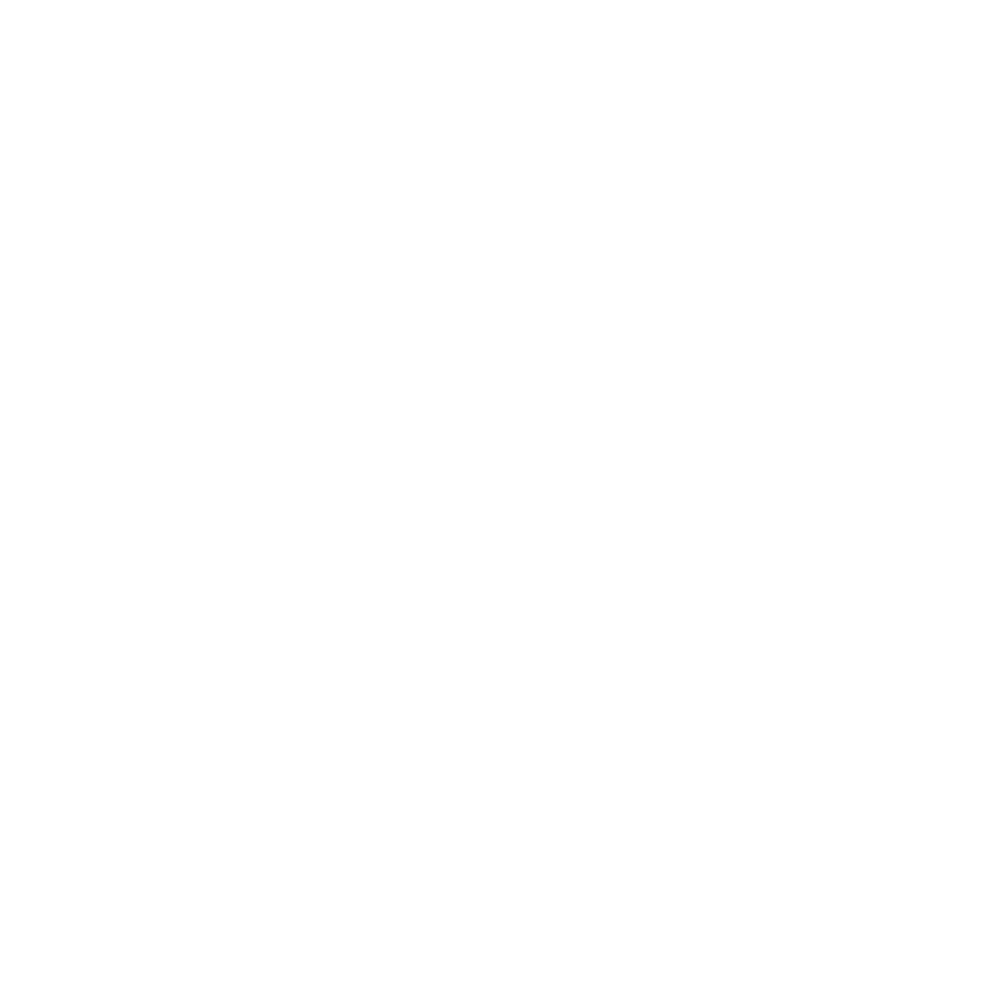 Salty Girl logo